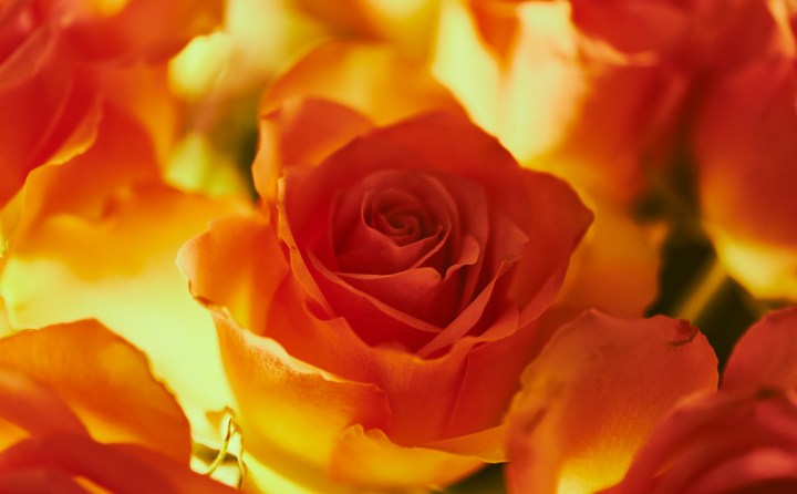 _DSC4726-Quick Preset_3905x2421