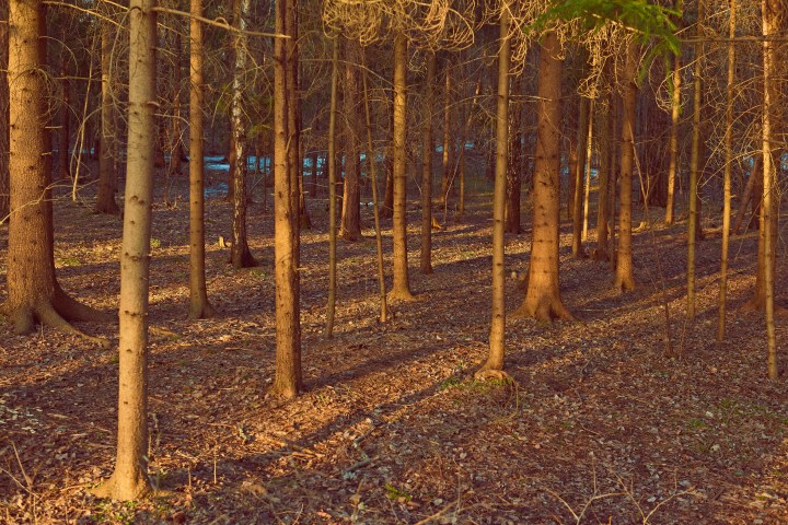 _DSC0612-Quick Preset_3081x2056