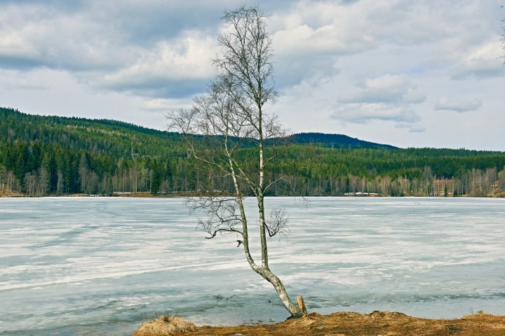 _DSC0719-Quick Preset_3666x2447