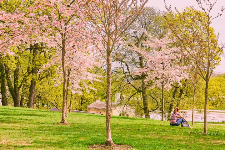 _DSC0780 3-Quick Preset_2606x1737