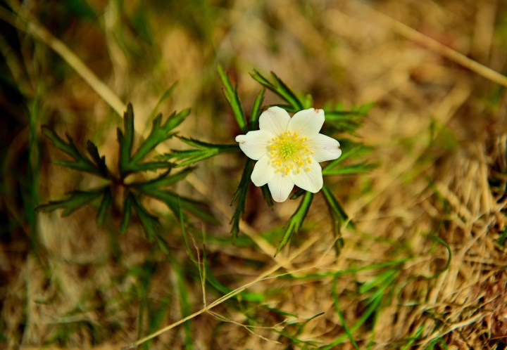 _DSC0799-Quick Preset_3979x2756