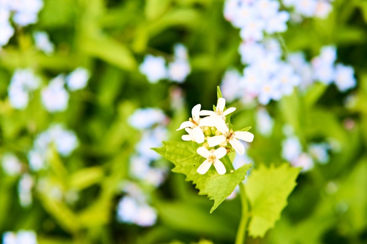 _DSC0814-Quick Preset_3839x2559