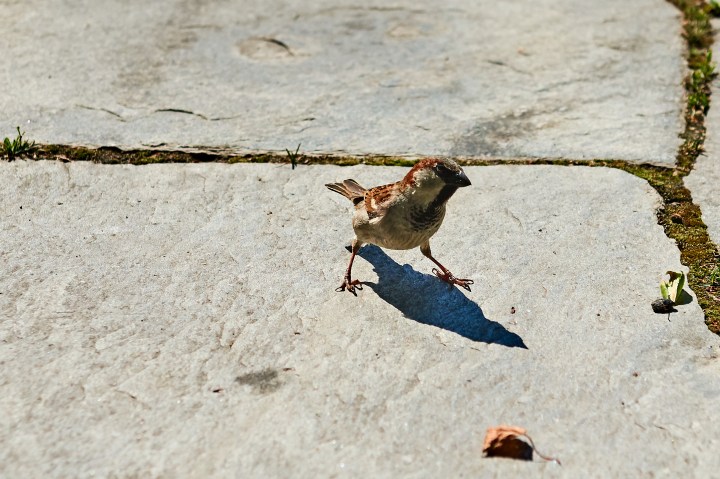 _DSC0860 1-Quick Preset_2885x1923