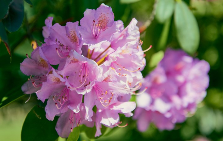 _DSC0879-Quick Preset_4152x2632