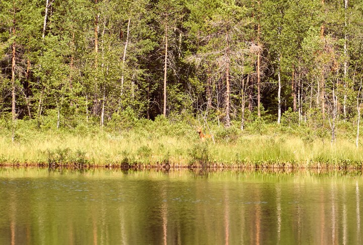 _DSC0995-Quick Preset_1965x1327