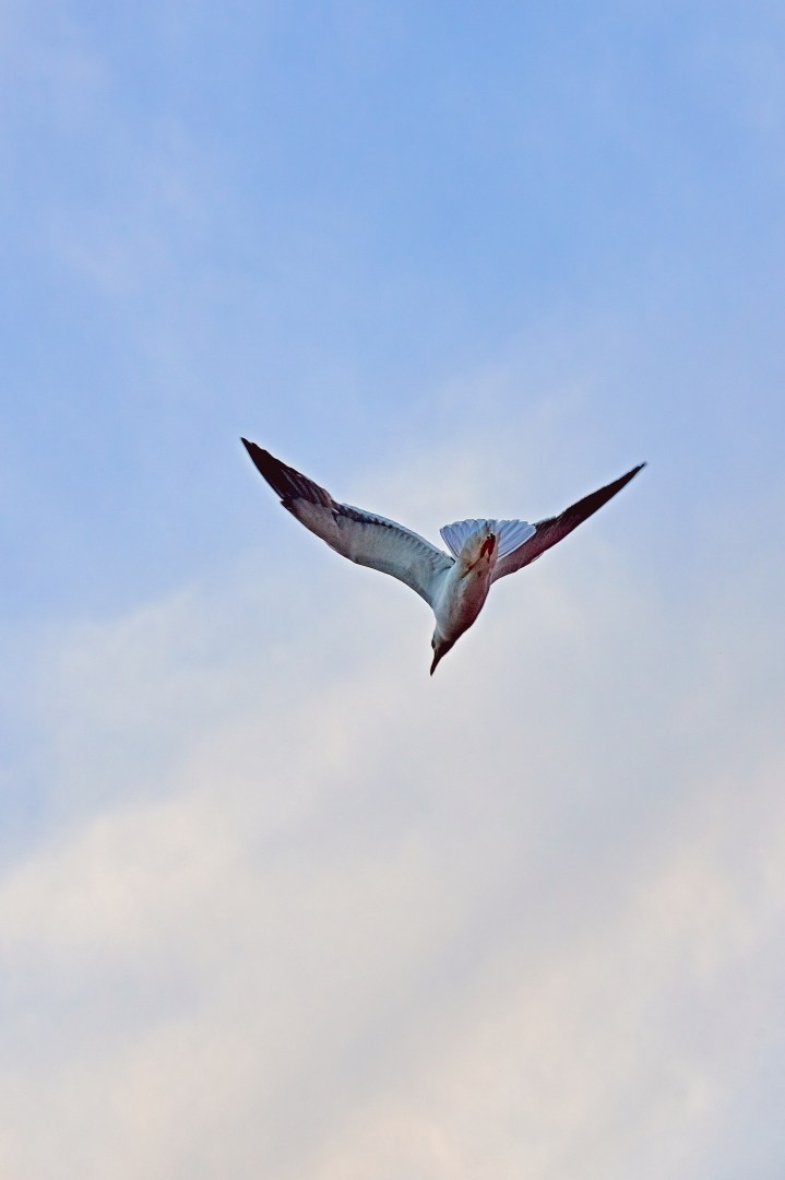 _DSC1453-Quick Preset_3070x4605