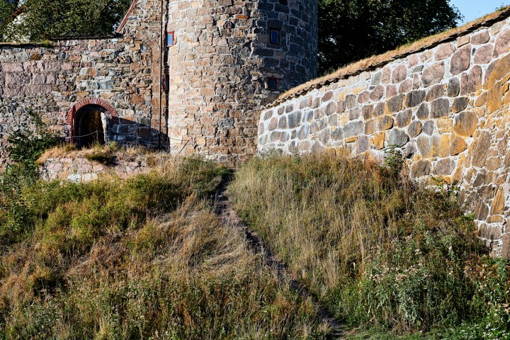 _DSC1491-Quick Preset_2607x1739