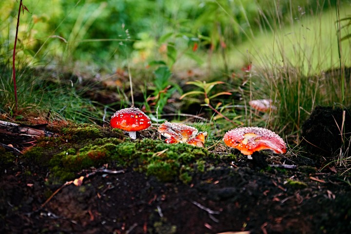 _DSC1591-Quick Preset_3837x2560