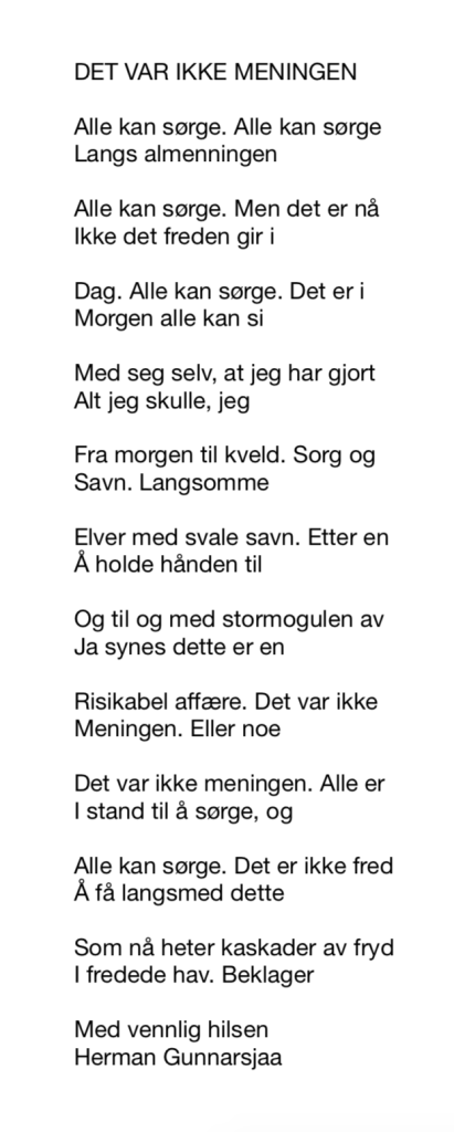 DET VAR IKKE MENINGEN