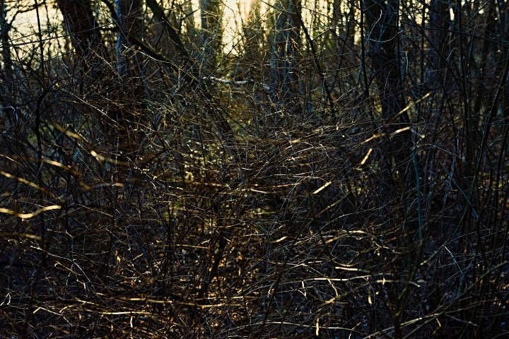 _DSC0608 1-Quick Preset_3382x2257