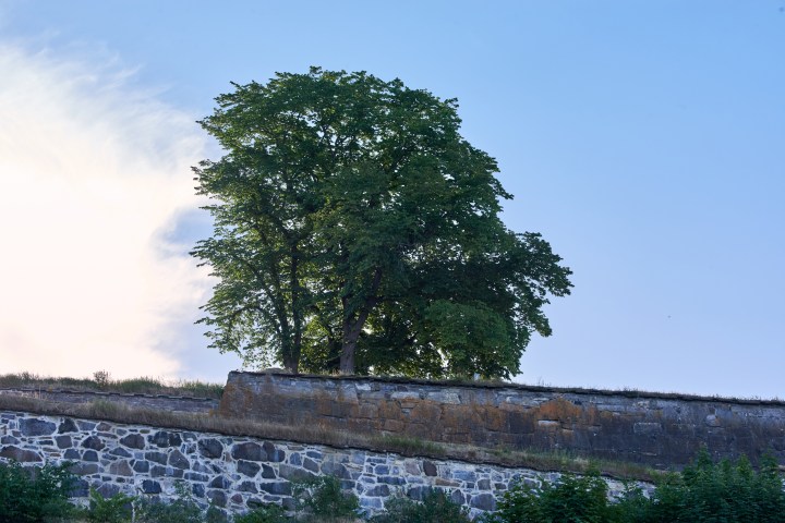 _DSC0965-Quick Preset_3965x2646