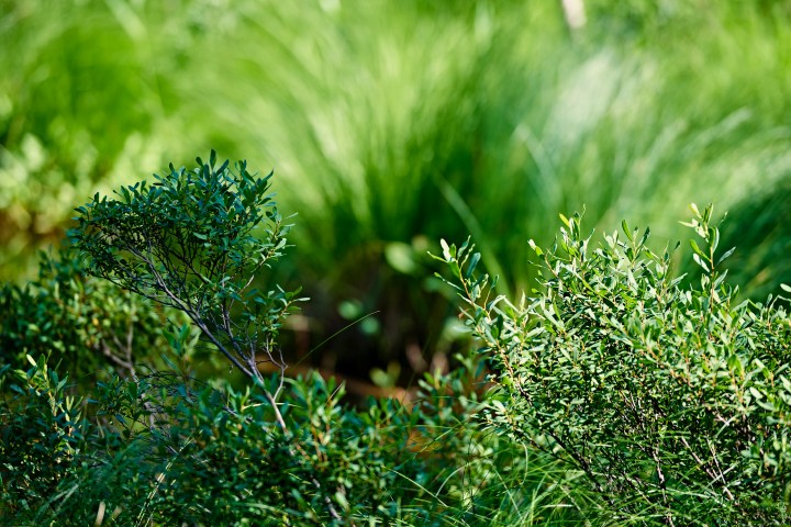 _DSC1009-Quick Preset_3553x2371