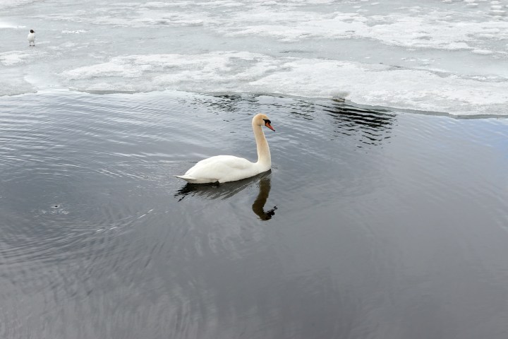 _dsc0733-quick preset_4491x2997