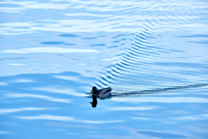 _dsc0971-quick preset_3558x2374